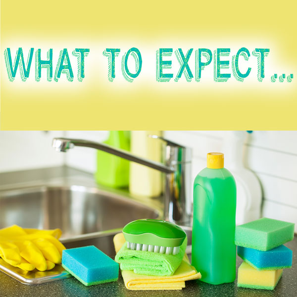 What To Expect From Our House Cleaning Services-Green Leaf Maid Services